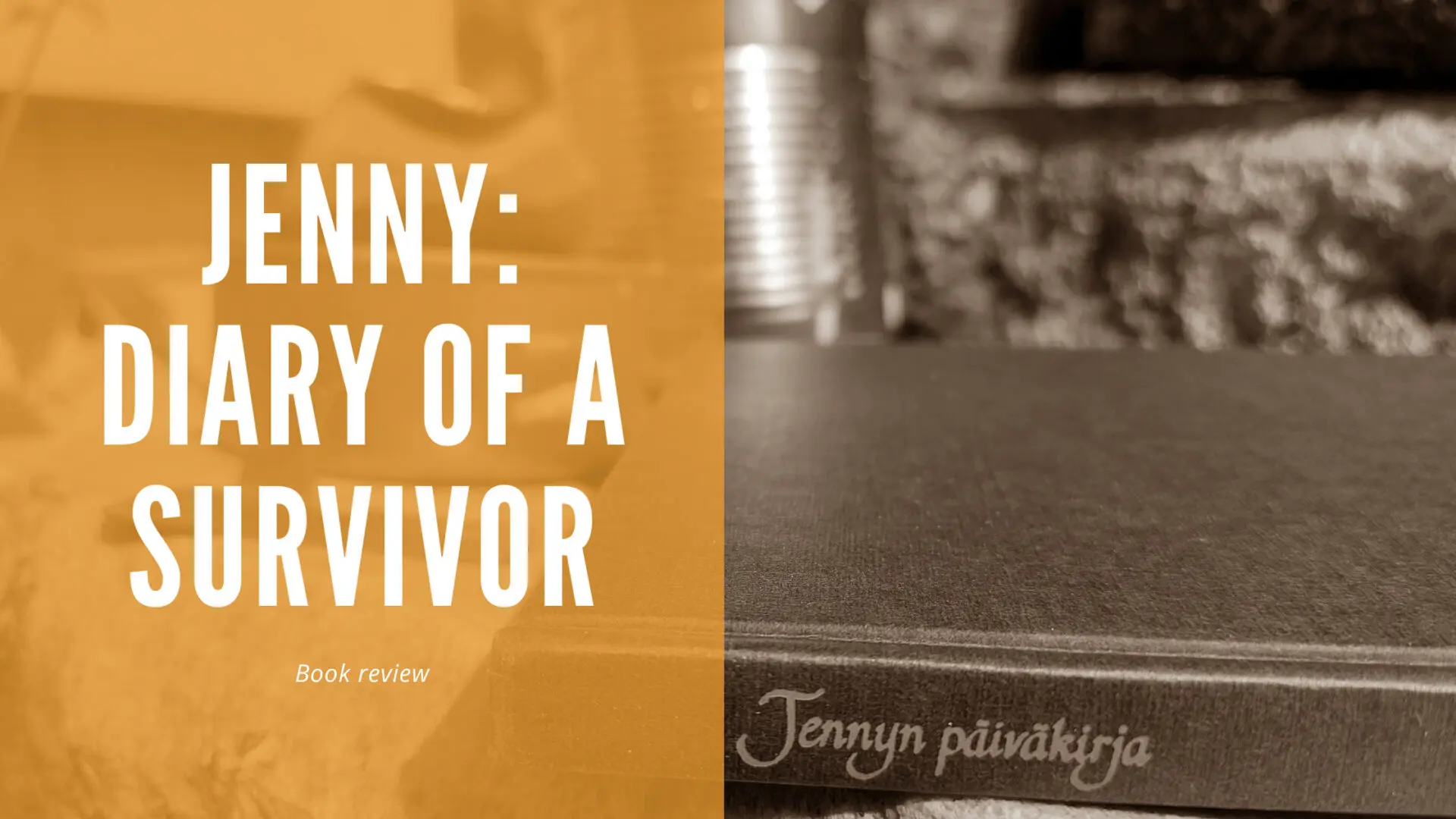 Jenny: a diary of a survivor