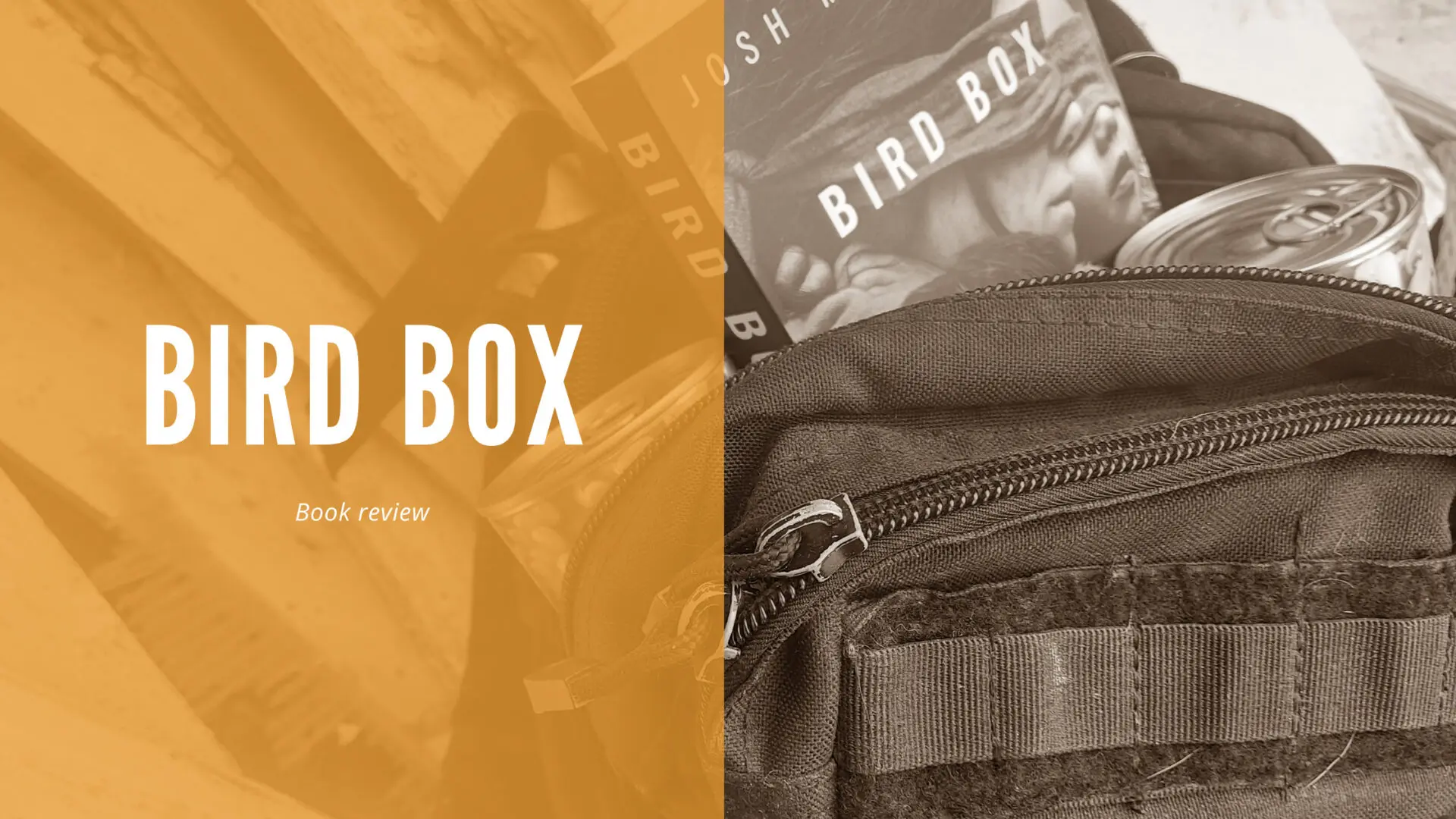 Bird box book review